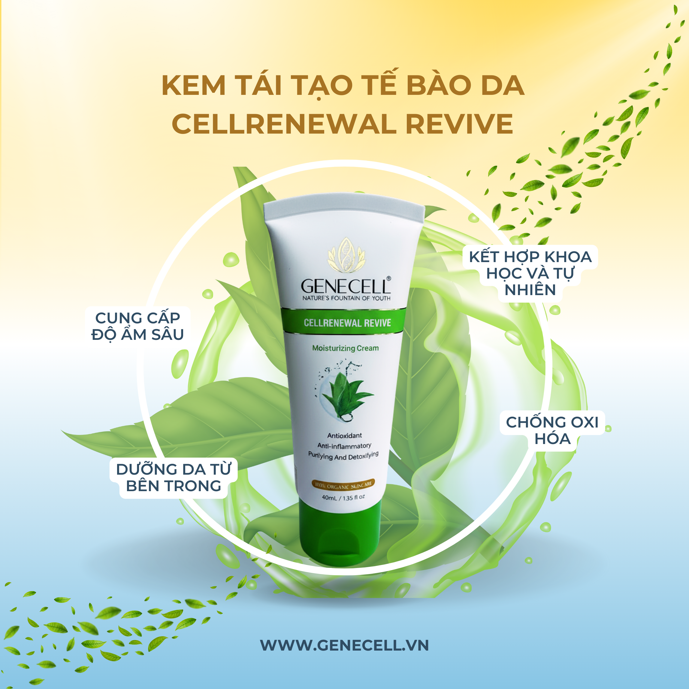 DƯỠNG ẨM TẾ BÀO DA CELLRENEWAL REVIVE